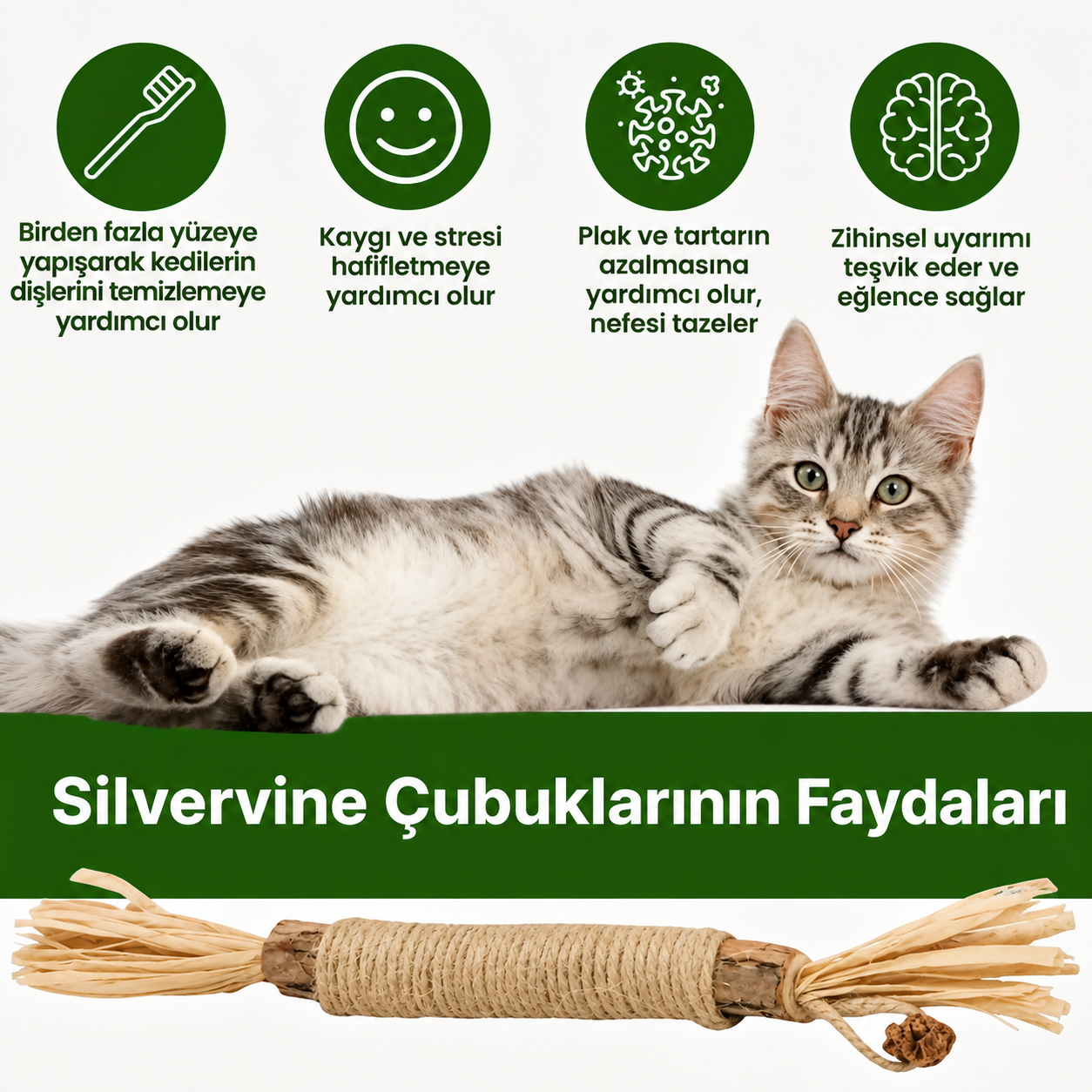 Purectik Silvervine Çubuk