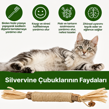 Purectik Silvervine Çubuk