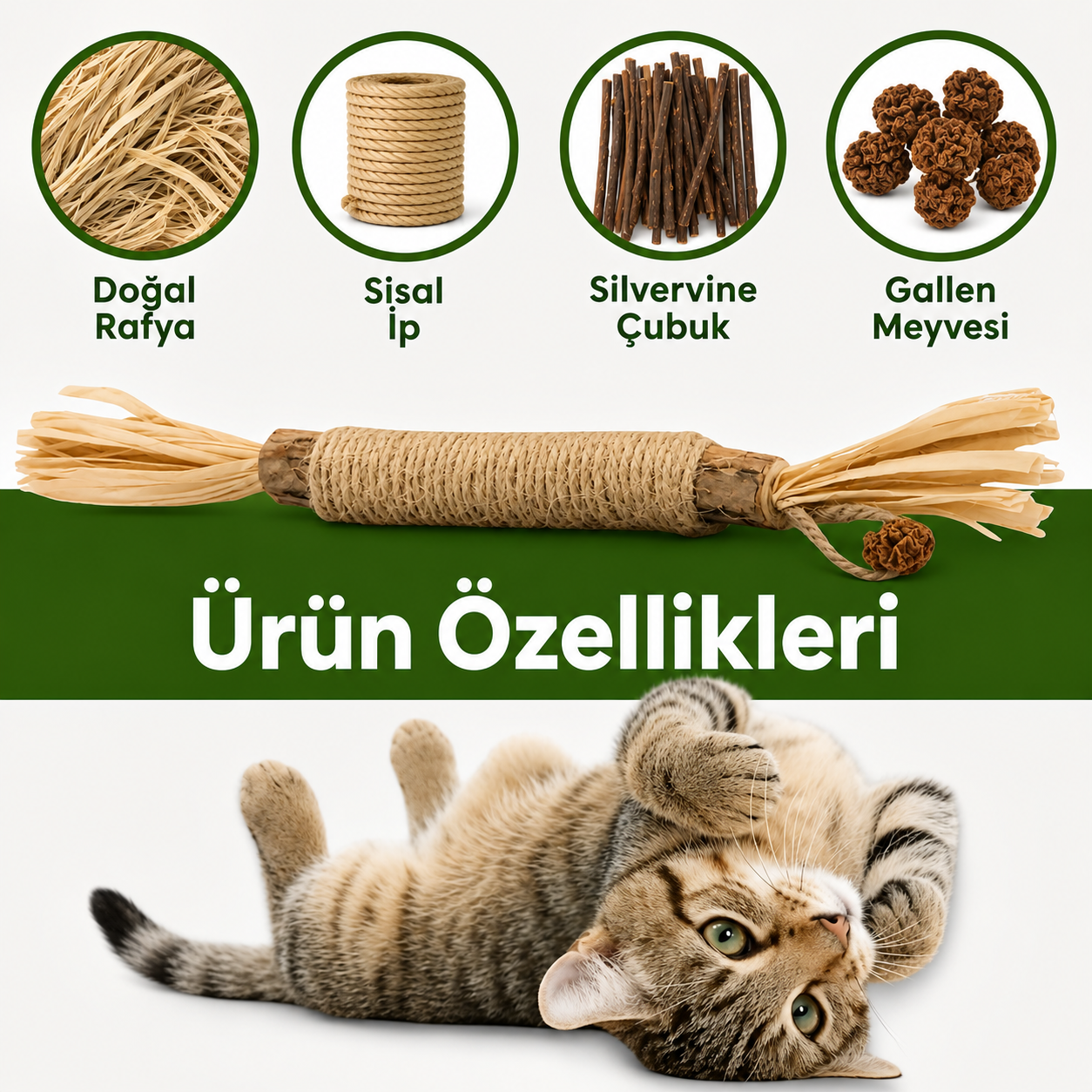 Purectik Silvervine Çubuk