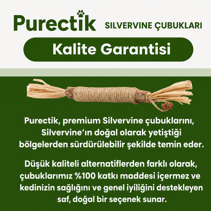 Purectik Silvervine Çubuk